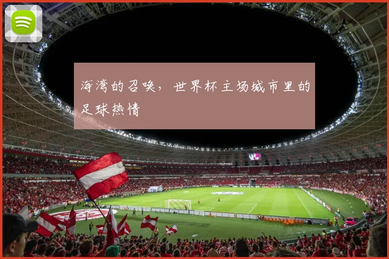 海湾的召唤，世界杯主场城市里的足球热情