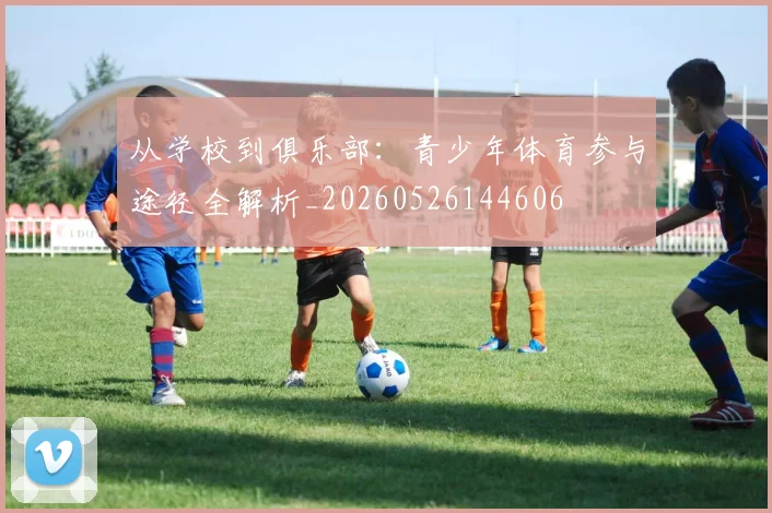 从学校到俱乐部:青少年体育参与途径全解析_20260526144606